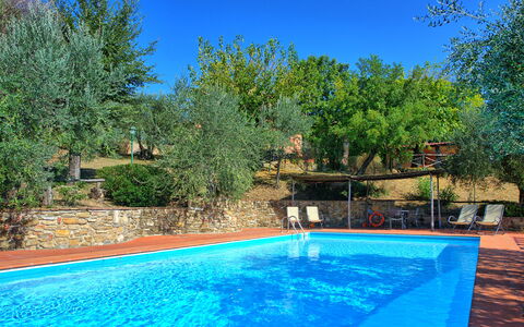La Selva: Piscina, Propiedad, Paisaje Natural, Bienes Raíces, Ocio, Árbol, Casa, Inmuebles, Casa, Patio Interior