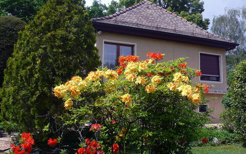 5, Chemin de la Pralay: Flor, Planta, Edificio, Ventana, Cielo, Árbol, Hoja, Casa, Vegetación, Biome