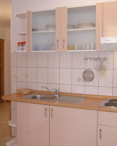 Plavac Mali 301.4