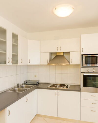 Plavac Mali 301.1