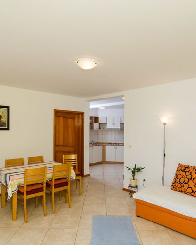 Plavac Mali 301.5