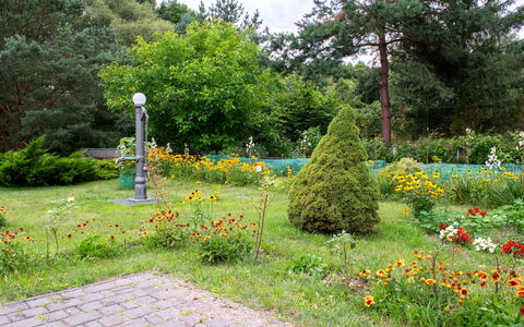 Głęboczek 21: Jardín, Arbusto, Césped, Cobertura Del Suelo, Primavera, Paisajismo, Plantas Leñosas, Jardín Botánico