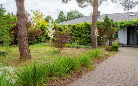 Głęboczek 21: Arbusto, Jardín, Cobertura Del Suelo, Plantas Leñosas, Paisajismo, Pasarela, Yarda, Patio Interior