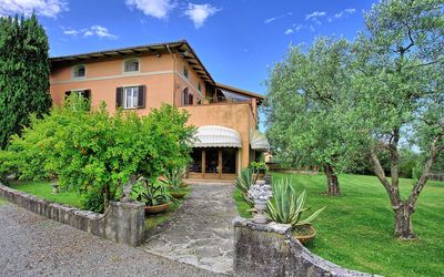 Melograni - Montecarlo, Toscana, Italia - Melograni 1