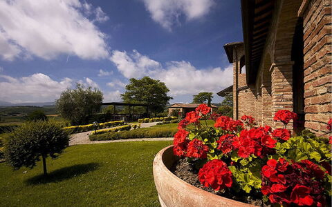 Sanguineto: Flor, Nube, Planta, Cielo, Propiedad, Edificio, Ventana, Botánica, Hoja, Vegetación