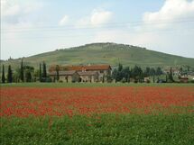 Alojamiento:&nbsp;Gatto