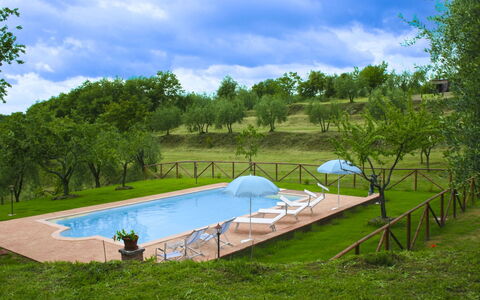 Country House Il Galleto: Casa, Arbusto, Área Rural, Cabaña, Inmuebles, Pueblo, Casa De Campo, Jardín, Paisajismo