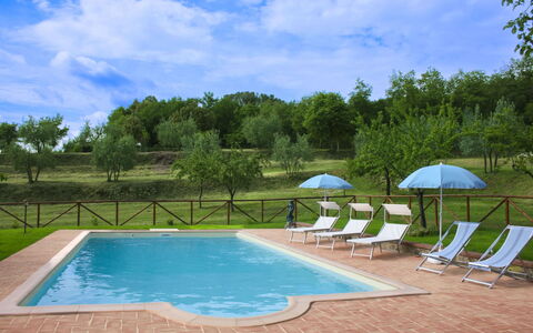 Country House Il Galleto: Casa, Arbusto, Área Rural, Cabaña, Inmuebles, Pueblo, Casa De Campo, Jardín, Paisajismo