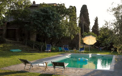 Olivo - Arezzo, Toscana, Italia