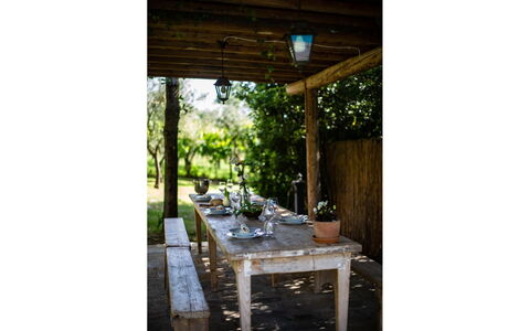 Villa degli Olivi: Planta, Mesa, Edificio, Madera, Sombra, Árbol, Mesa Al Aire Libre, Mueble Para Exteriores, Haz, Porche