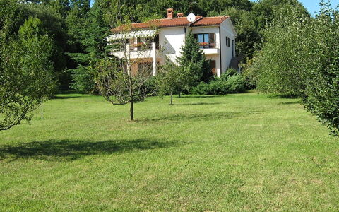 Neda: Cielo, Planta, Edificio, Naturaleza, Nube, Árbol, Paisaje Natural, Casa, El Terreno Del Lote, Cabaña