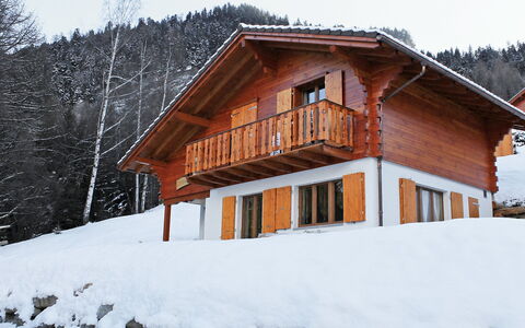 Elorian: Nieve, Invierno, Casa, Casa, Propiedad, Cuarto De Troncos, Cabaña, Techo, Edificio, Bienes Raíces