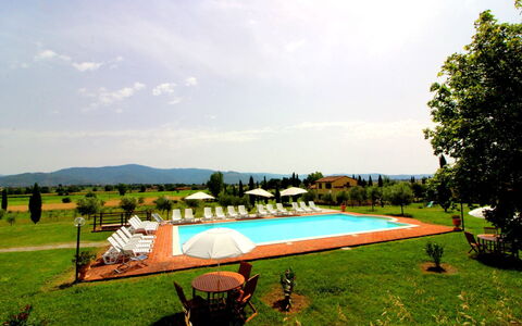 Podere Marcigliano: Cielo, Planta, Nube, Piscina, Paisaje Natural, Árbol, Sombra, El Terreno Del Lote, Ocio, Hierba