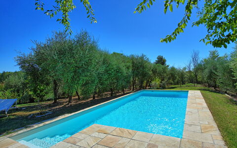 Casa Cipressi: Piscina, Propiedad, Bienes Raíces, Inmuebles, Casa, Casa, Árbol, Patio Interior, Barrio Residencial, Ocio