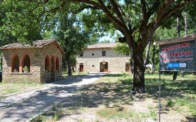 Agriturismo San Clemente - Panzano in Chianti, Toscana, Italia - Pinot