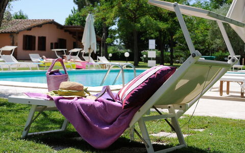 Grosseto 825: Planta, Mueble, Sunlounger, Árbol, Mueble Para Exteriores, Comodidad, Cielo, Silla, Ocio, Brazo