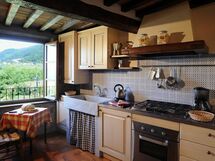 Alojamiento:&nbsp;Orchidea