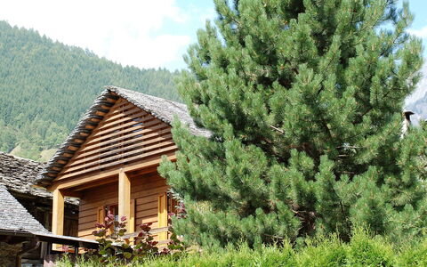 Rustico Fortuna: Árbol, Vegetación, Techo, Biome, Propiedad, Casa, Cuarto De Troncos, Hojas Perennes, Cabaña, Planta