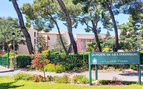 Le Luberon Loisirs: Arbusto, Jardín, Paisajismo, Yarda, Parque, Jardín Botánico, Plantación