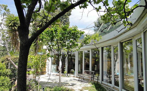 Agora: Árbol, Vegetación, Arquitectura, Botánica, Edificio, Rama, Plantas Leñosas, Planta, Primavera, Casa