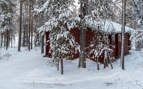 Viipusjärvi 11: Nieve, Invierno, Rama, Madera, Cabaña, Ramita, Congelación, El Maletero, Bosque