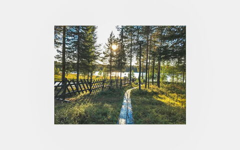 Örtsylä B: Cama, Mueble, Habitación, Diseño De Interiores, Lecho, Sábana, Piso, Madera, Suelo, Habitación