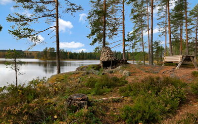 Kuusikumpu