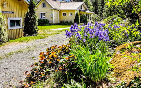 Villa Paasirinne B: Madera, Nieve, Invierno, Cabaña, Congelación, Casa, Cuarto De Troncos, Alerce, Vía Muerta