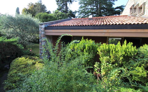 Alojamiento:&nbsp;Azalea 200.20