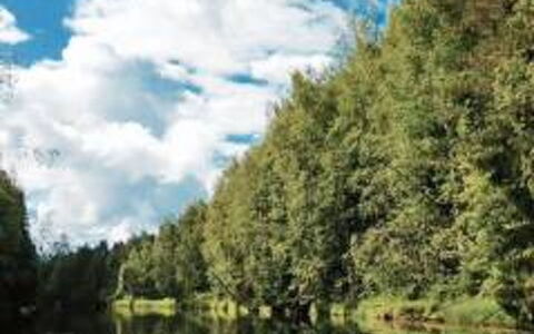 Notkontaus: Paisaje Natural, Naturaleza, Árbol, Vegetación, Reserva Natural, Agua, Entorno Natural, Biome, Río, Los Recursos Hídricos