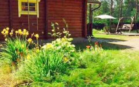 Notkontaus: Yarda, Jardín, Propiedad, Casa, Hierba, Césped, Paisaje, Planta, Patio Interior, Casa