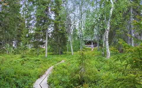 Seitsemän Savua 6: Madera, Cabaña, Cuarto De Troncos, Bosque, Cobertizo, Edificios Del Jardín, Alerce, Bosque, Manchas De Madera
