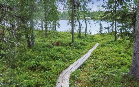 Seitsemän Savua 6: Madera, Cabaña, Cuarto De Troncos, Bosque, Cobertizo, Edificios Del Jardín, Alerce, Bosque, Manchas De Madera
