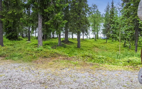 Seitsemän Savua 6: Madera, Cabaña, Cuarto De Troncos, Bosque, Cobertizo, Edificios Del Jardín, Alerce, Bosque, Manchas De Madera