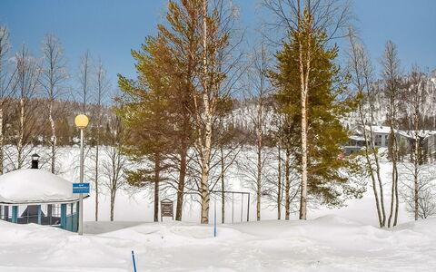 Kelokivakka D19: Rama, Árbol, Invierno, Nieve, Ramita, Congelación, El Maletero, Pendiente, Arboleda