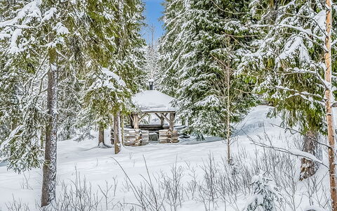 Seitsemän Savua 3: Nieve, Rama, Invierno, Árbol, Entorno Natural, Madera, Congelación, Ramita, Bosque