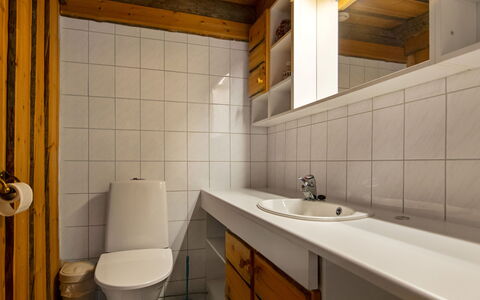 Rukaveska 4B: Lavabo Del Baño, Pared, Piso, Arreglo De Tubería, Suelo, Madera, Lavabo, Diseño De Interiores, Baño, Techo
