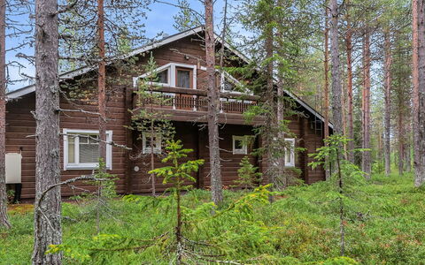 Artturi: Madera, Cabaña, Cuarto De Troncos, Bosque, Cobertizo, Edificios Del Jardín, Alerce, Bosque, Manchas De Madera