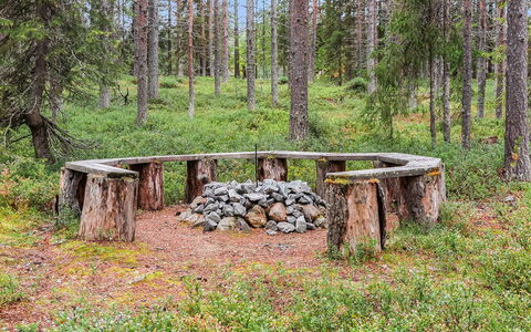 Artturi: Madera, Cabaña, Cuarto De Troncos, Bosque, Cobertizo, Edificios Del Jardín, Alerce, Bosque, Manchas De Madera