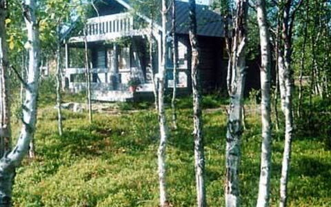 Juolukka: Árbol, Madera, Bosque, Bosque, El Maletero, Cabaña, Abedul, Arboleda, Cuarto De Troncos