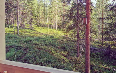 Käenkukka