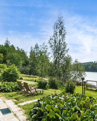 Koivupiha