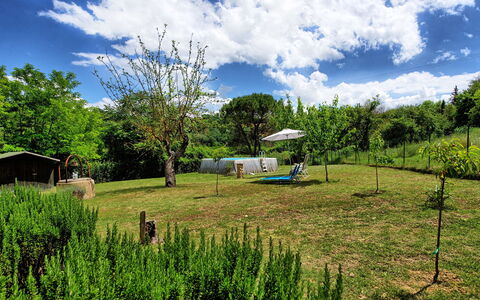 Villa Diletta: Paisaje Natural, Vegetación, Verde, Propiedad, El Terreno Del Lote, Pradera, Hierba, Reserva Natural, Pasto, Entorno Natural