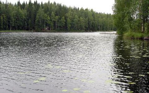 Aurinko: Madera, Nieve, Invierno, Cabaña, Congelación, Casa, Cuarto De Troncos, Alerce, Vía Muerta