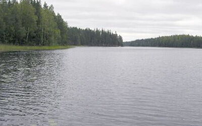Aurinko