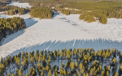 Aittolahti 2: Madera, Cabaña, Cuarto De Troncos, Bosque, Cobertizo, Edificios Del Jardín, Alerce, Bosque, Manchas De Madera