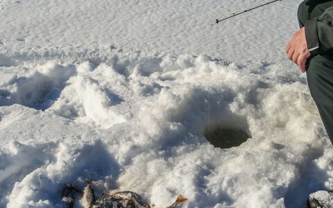Huljakka: Madera, Nieve, Invierno, Cabaña, Congelación, Casa, Cuarto De Troncos, Alerce, Vía Muerta
