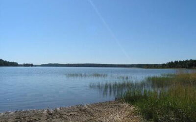 Metsämarja