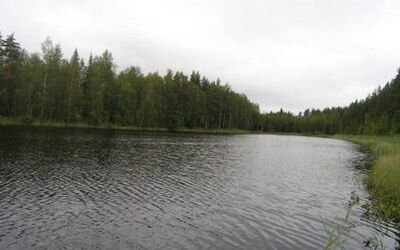 Pyöriäinen