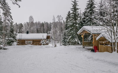 Mäntyrinne